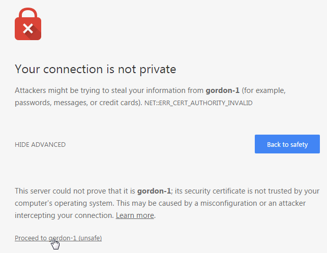 Screenshot illustrating the location of [Proceed to <hostname>] on the Your connection is not private notification