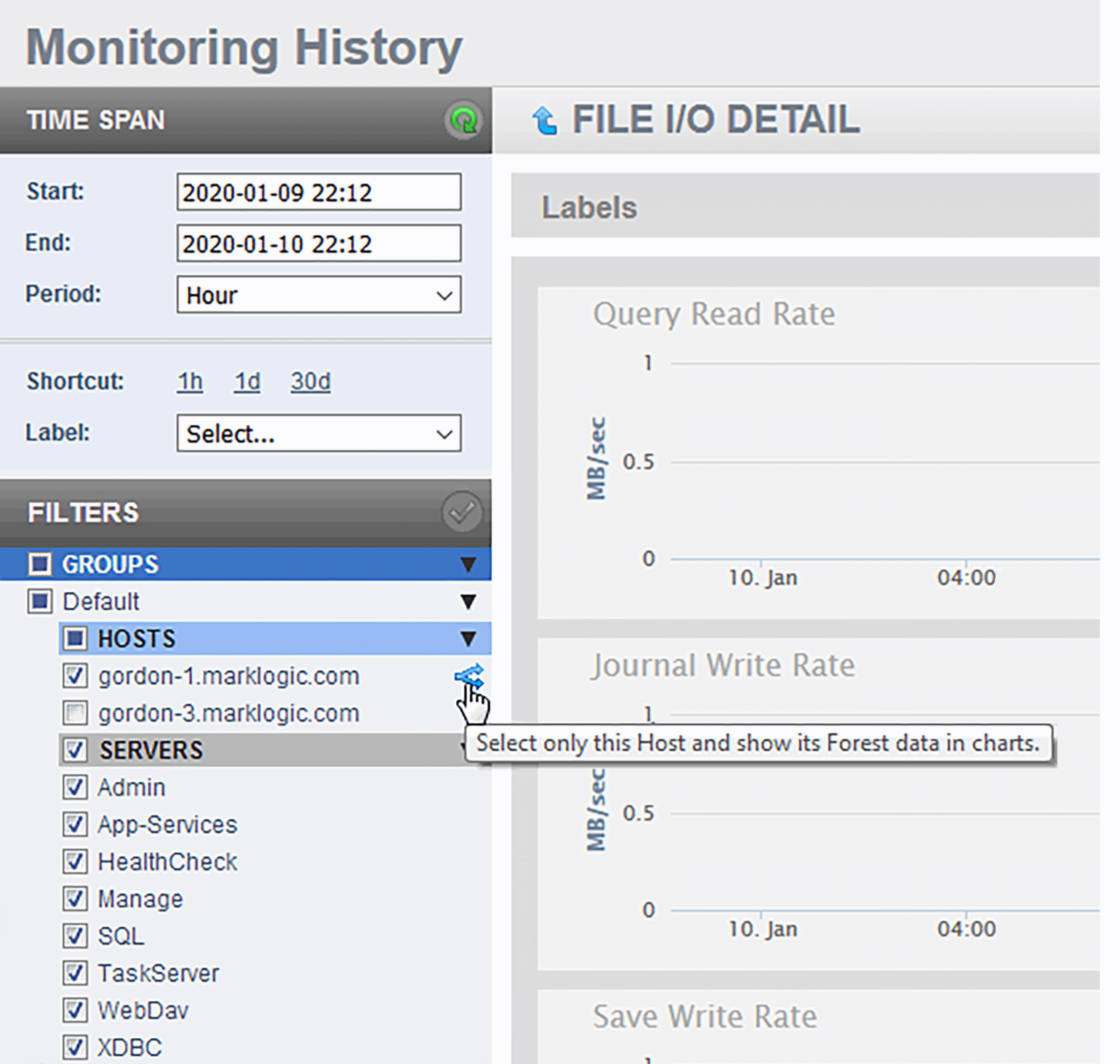 Screenshot of the FILE I/O DETAIL page. You can rollover any Host filter to reveal the Select and Expand button. This will deselect all of the other Hosts across all Groups, and apply all pending filter changes. The expanded charts display the data for each forest in that host as separate line in each chart.