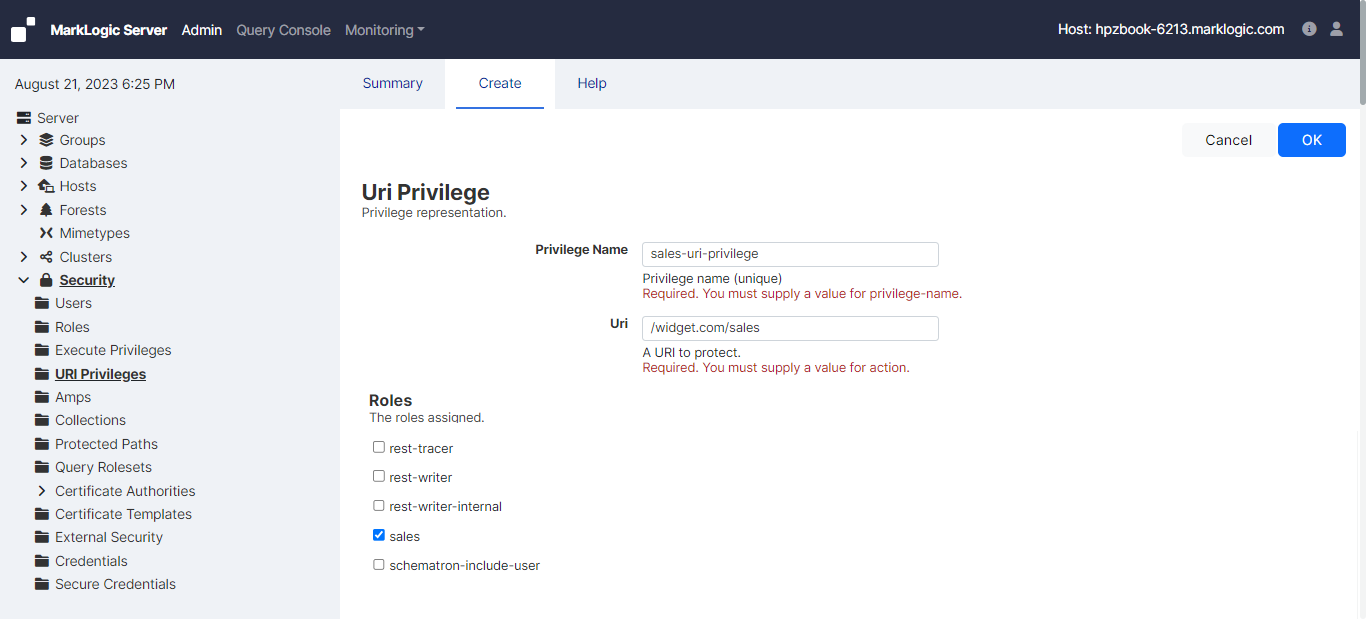 Admin Interface Screenshot of URI Privilege page