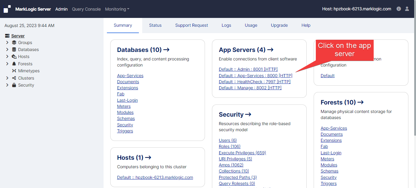 Admin Interface Screenshot illustrating where to click the name of the app server