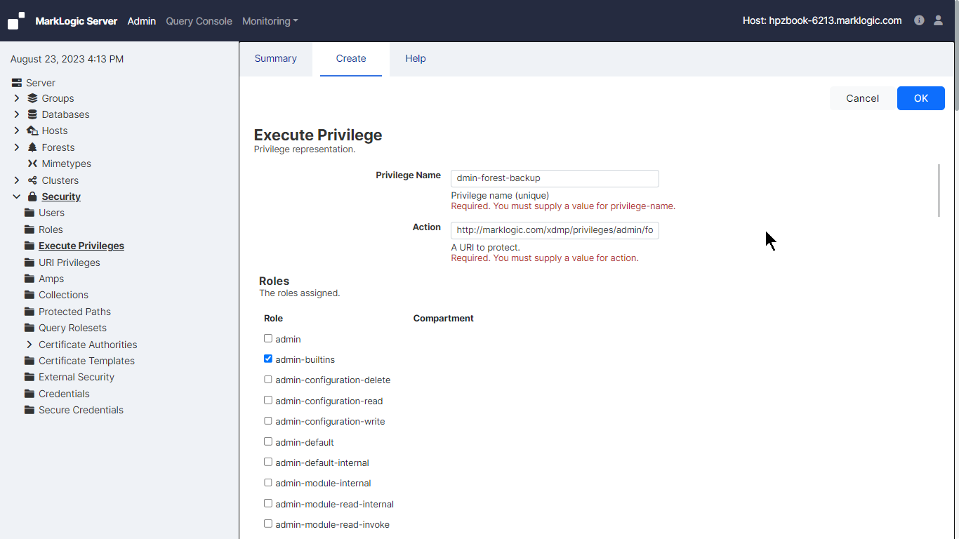 Admin Interface Screenshot illustrating the partially filled-in Execute Privilege page